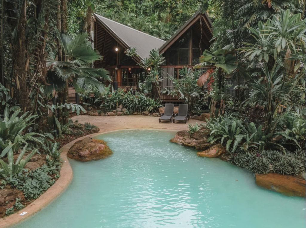 Rare family tree change on offer in the Daintree Rainforest