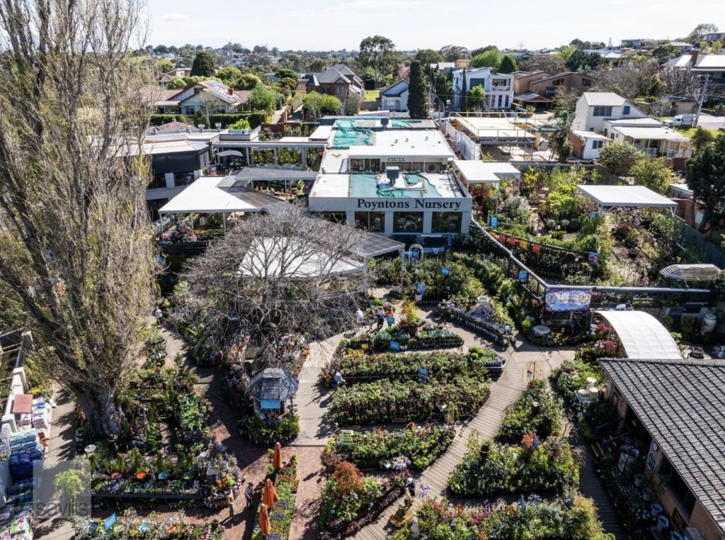 Poyntons Nursery offered for first time in 90 years