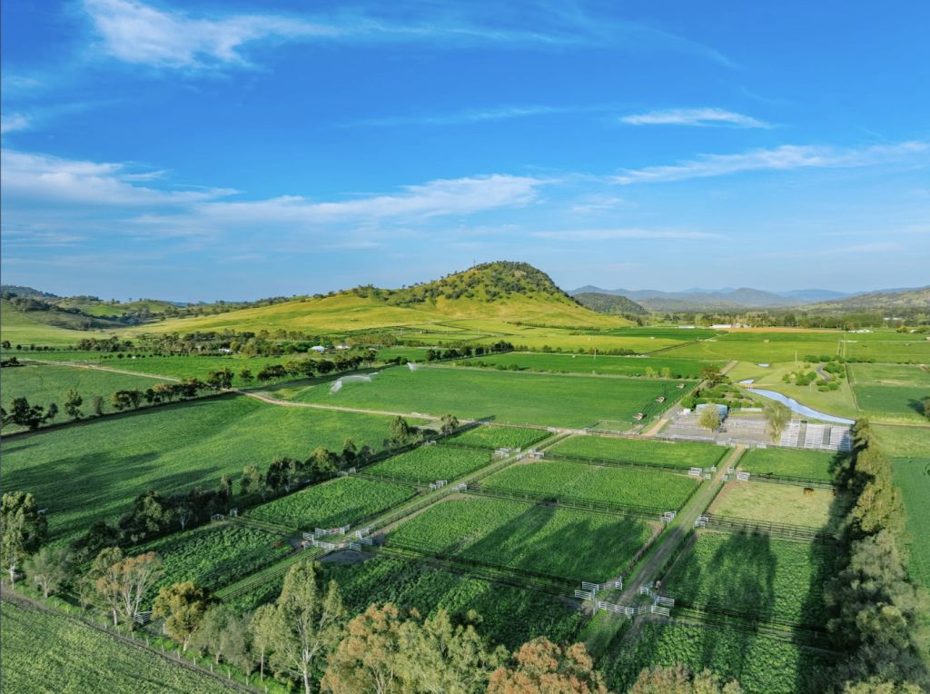 Hunter Valley’s elite stud farm is listed for sale