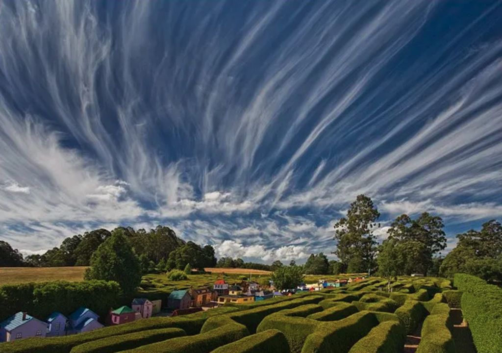 A-maze-ing opportunity: Tasmazia up for sale after 40 years