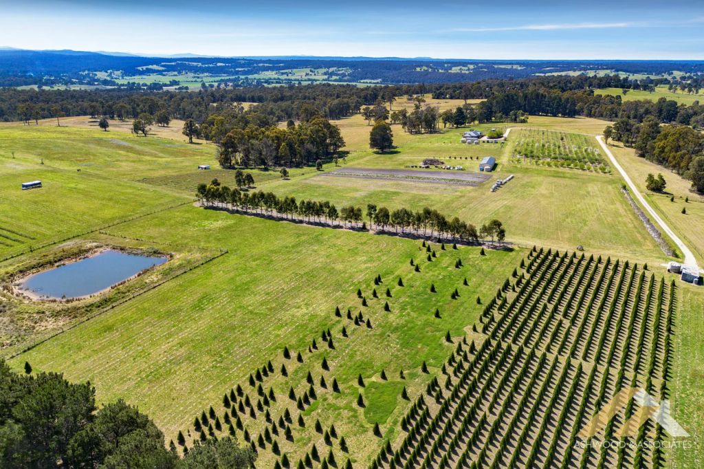 You could live on a Christmas tree farm for $2.3 million