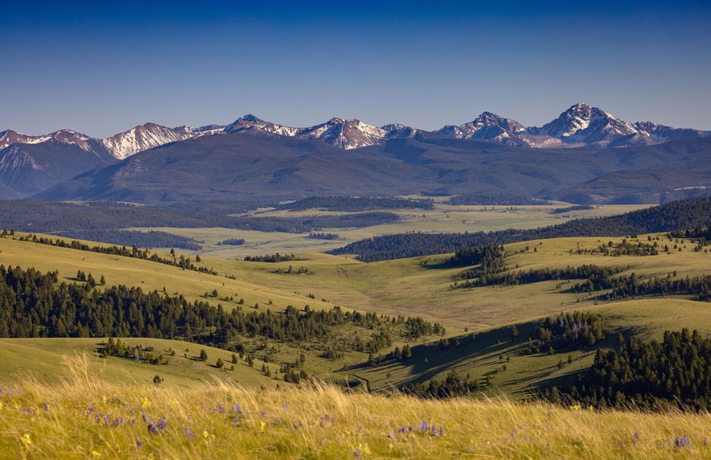 A famous Soviet defector hid on this farm during the Cold War