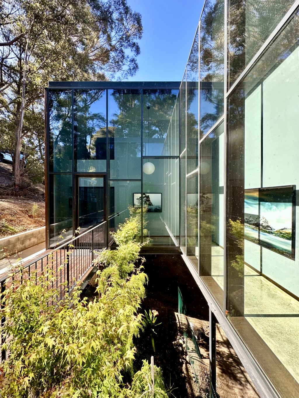 'Let your imagination run wild' – architect gets a dream brief in Tasmania