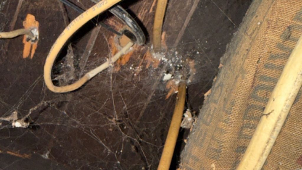 How a home internet upgrade uncovered a century of secrets