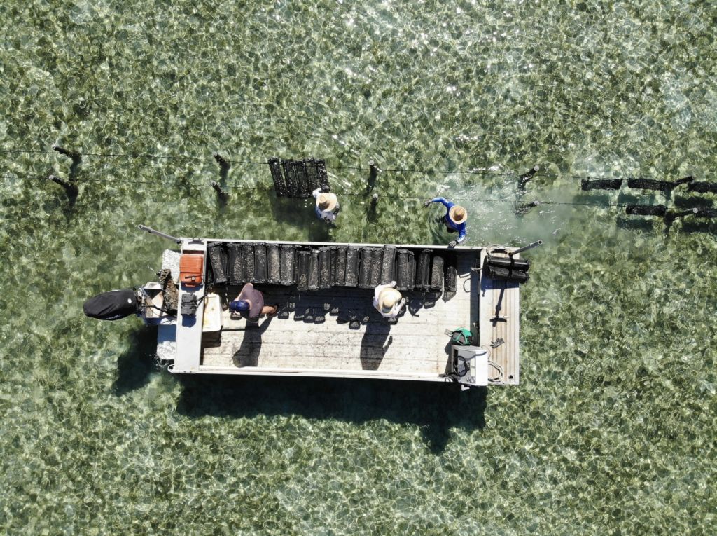 Moreton Island oyster farm listed for sale with tourism upside