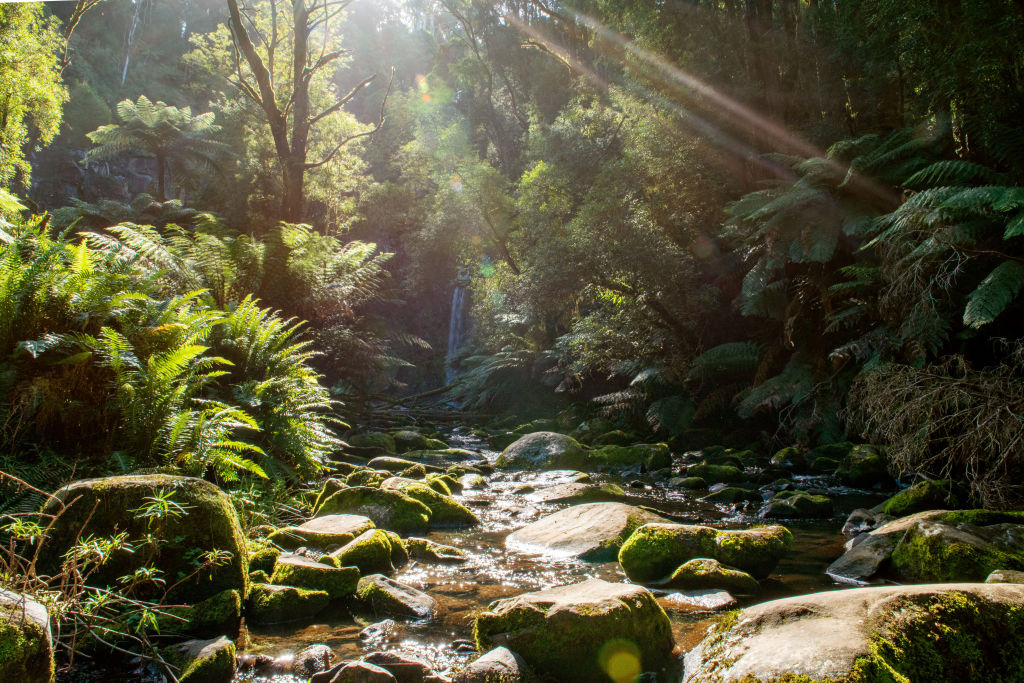 Otway Ranges
