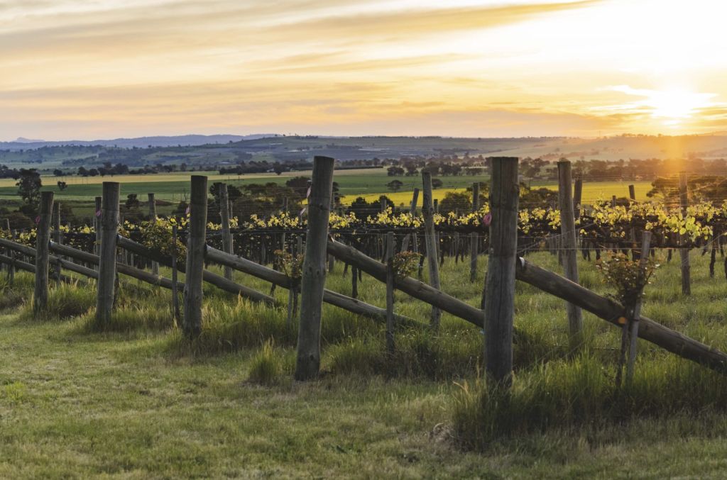 5 Australian vineyards (and a microbrewery) for sale right now