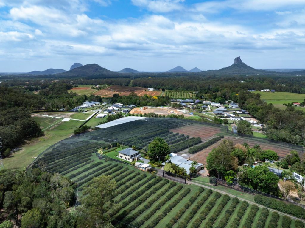 Housing squeeze puts Sunshine Coast lychee farm in developers’ sights