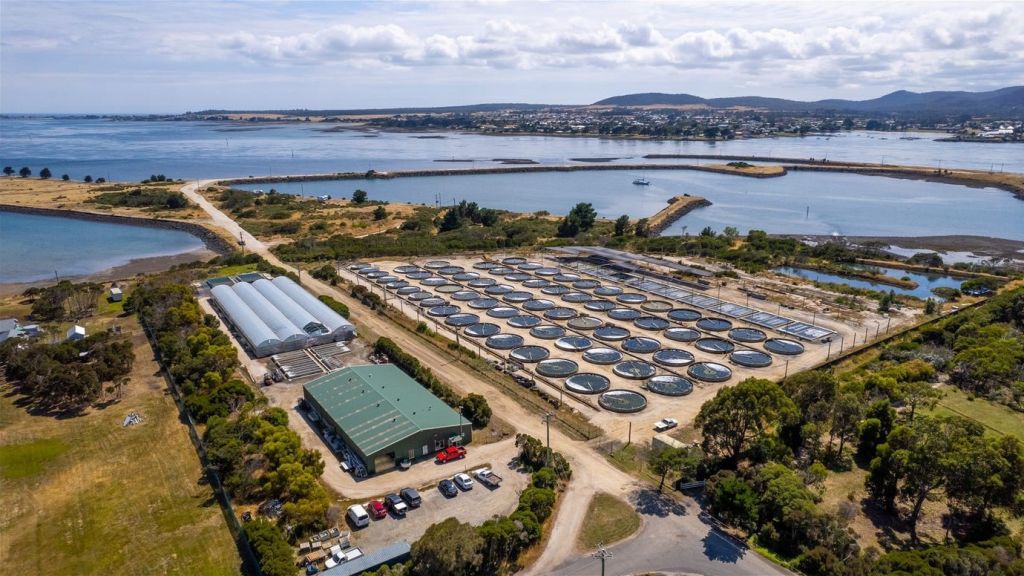 Fully operational abalone farm offered in Tasmania