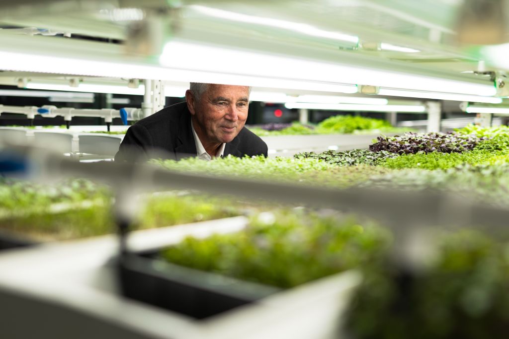 Australian hotels are turning disused basements and roofs into commercial farms