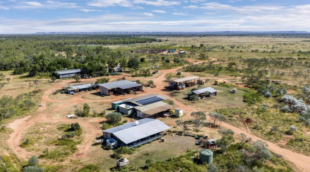 Kimberley cattle giant hits market after more than 60 years