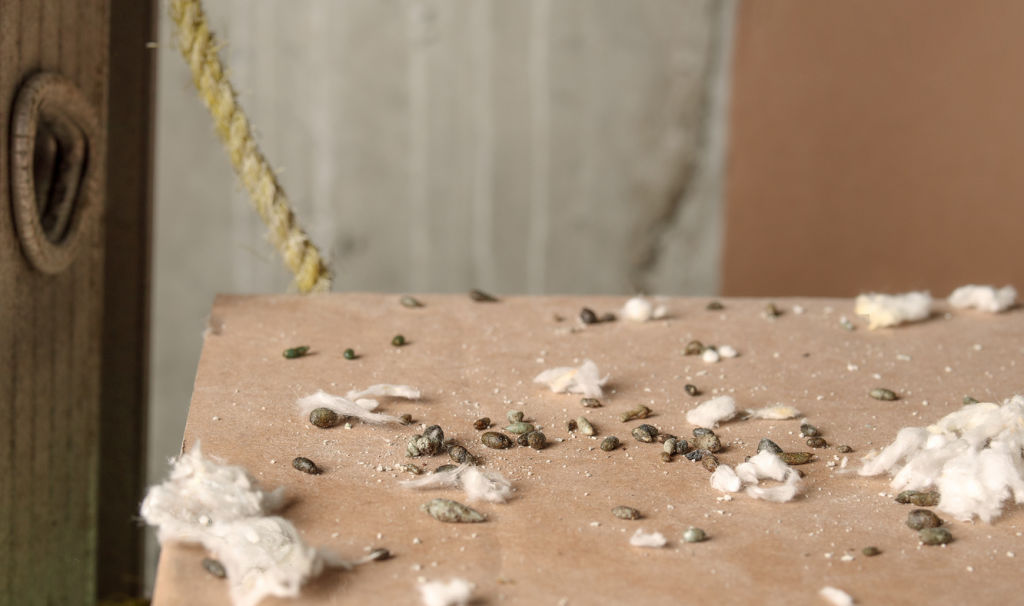 The problem impacting millions of Aussie homes