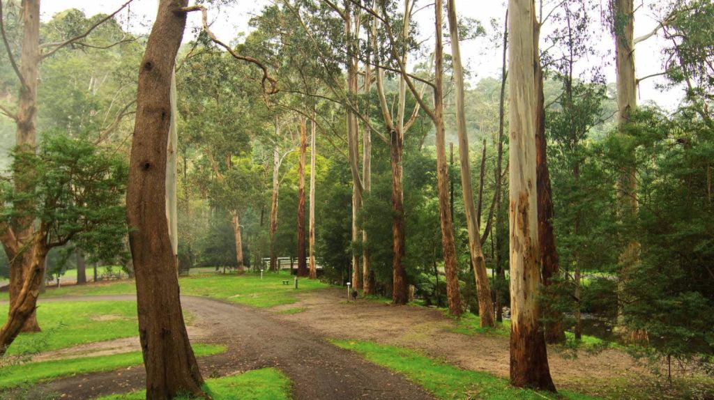 'Staying power': This $1.45m Gippsland tree-change escape is up for sale