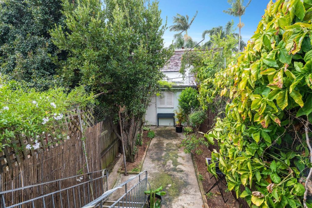 Here's the skinny Narrow Enmore terrace for sale, with a 2.5metre