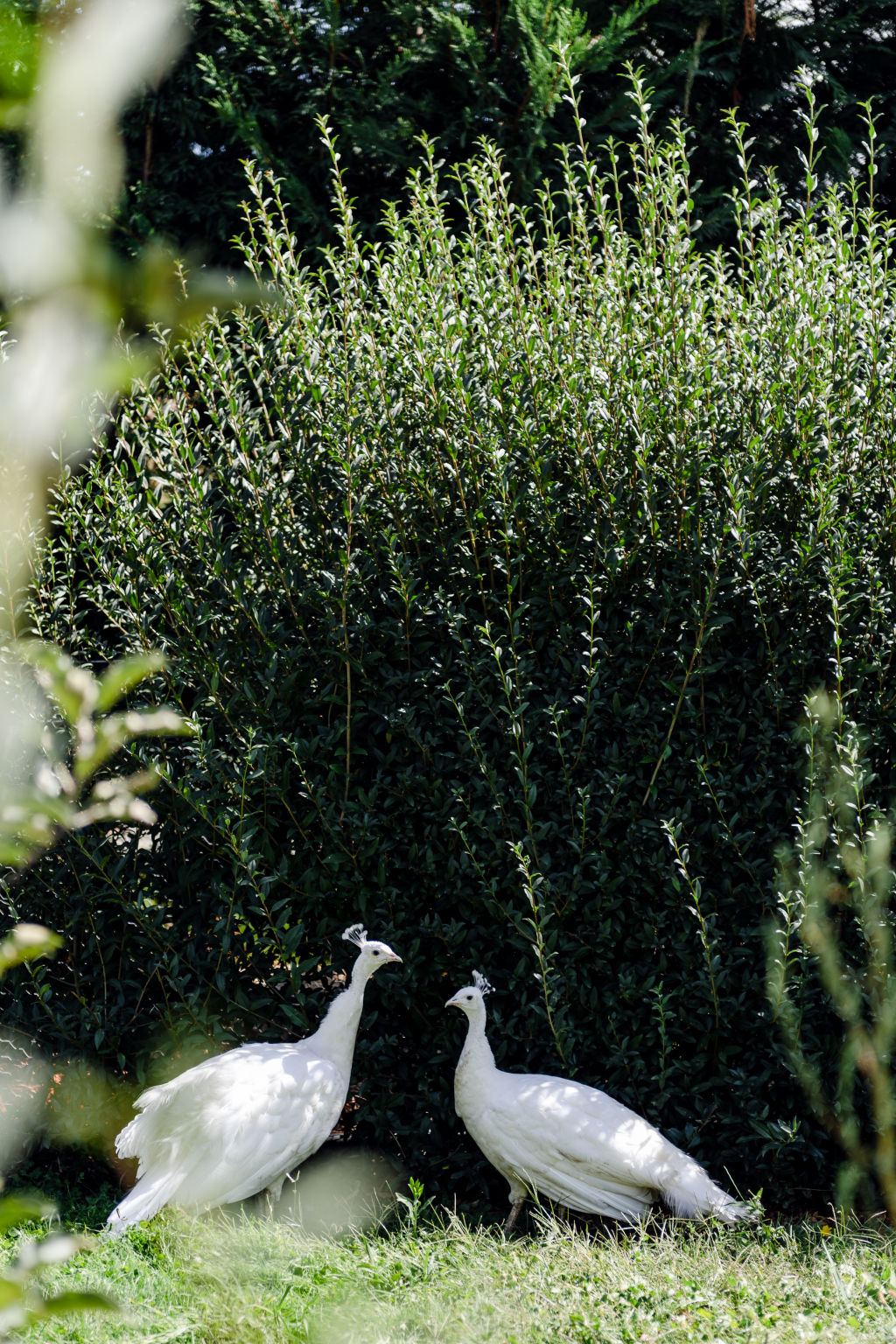 Explore Rosedale Farm, the incredible 1877 estate interior stylist