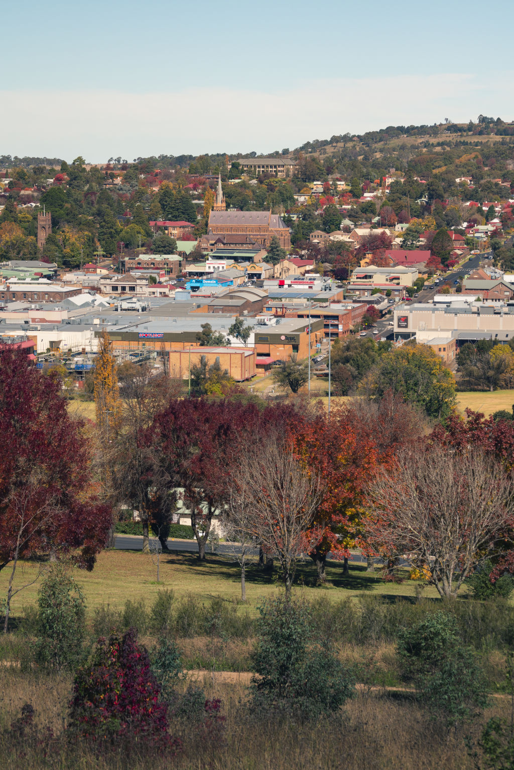 Armidale: The picturesque regional city luring out-of-town home buyers