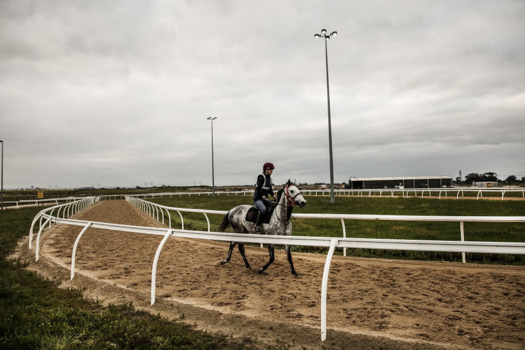 Behind the scenes of James Kennedy's new Melbourne horse racing stable