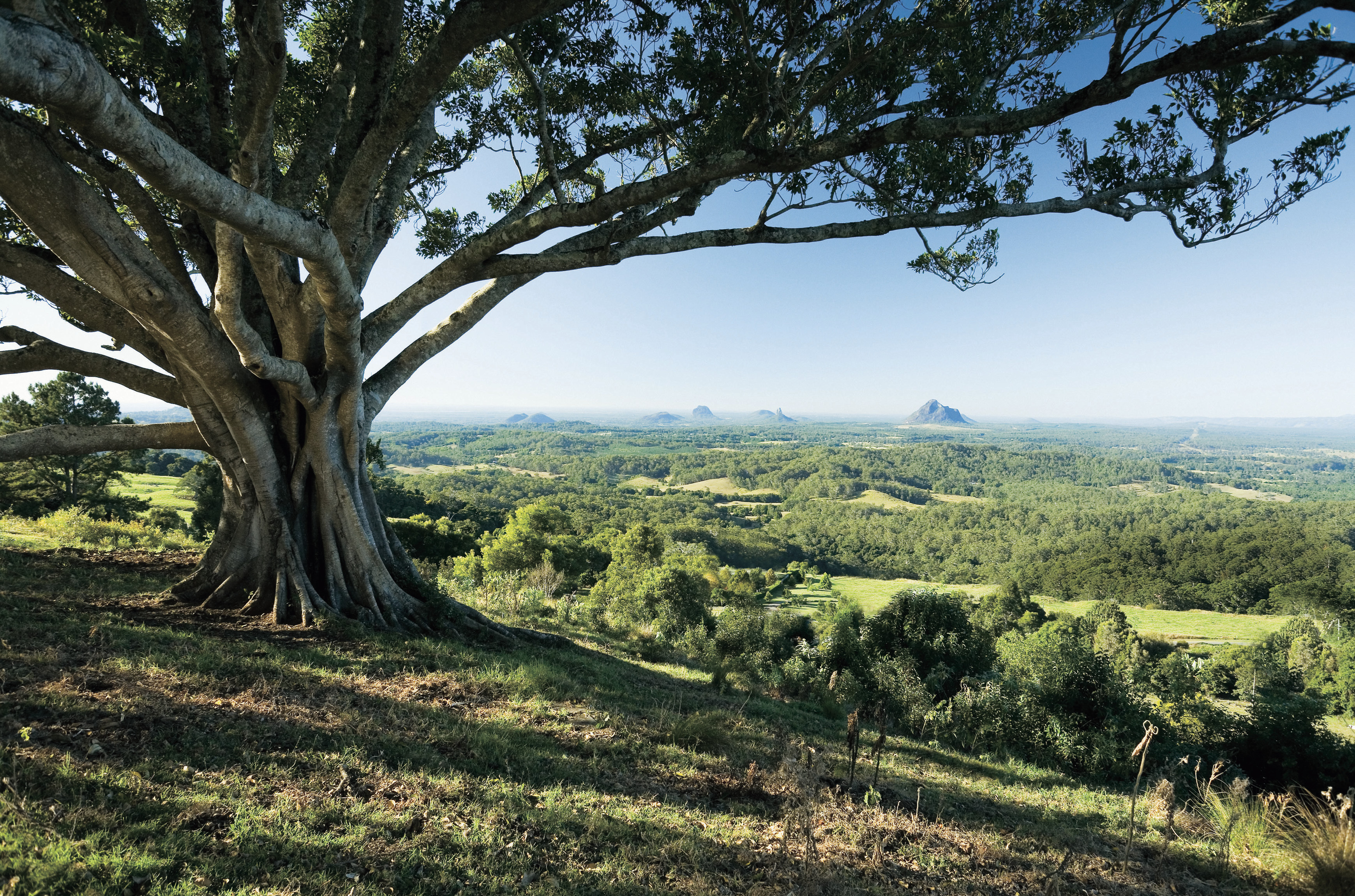 View to Glass House Mountains on the Sunshine Coast